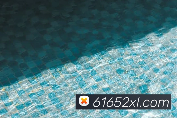 体育App